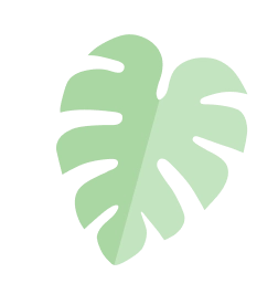葉っぱ