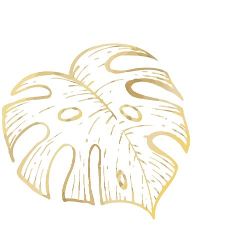 葉っぱ